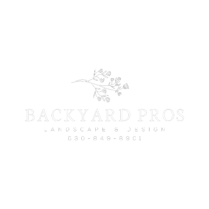 Backyard Pros Picture 3