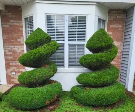 Clemente's Landscaping & lawn services