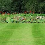 Eco Friendly Landscapers