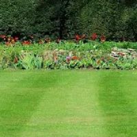 Eco Friendly Landscapers ico