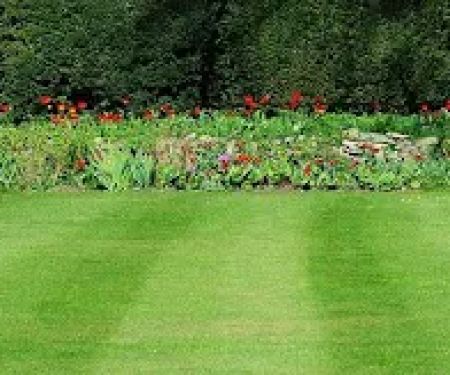 Eco Friendly Landscapers