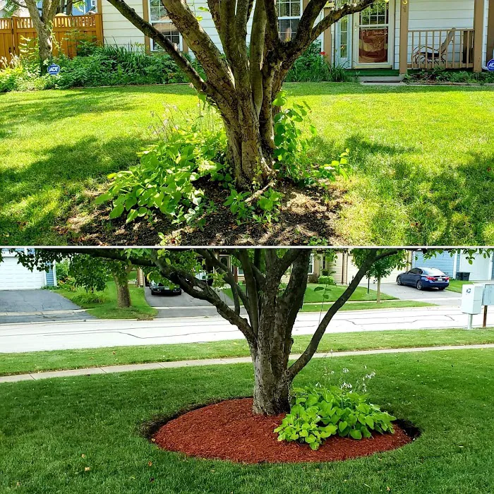 Monarch Landscaping & Design Picture 8