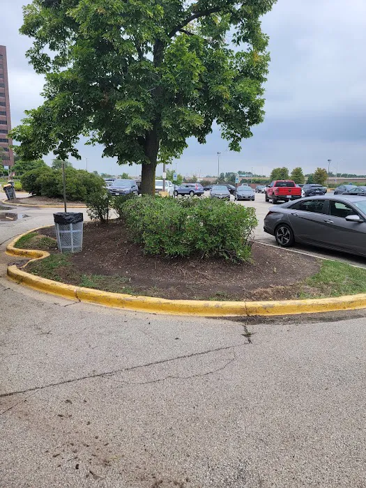 Ground Pros Inc Picture 5