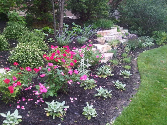 Joe & Tony Landscaping Inc Picture 2