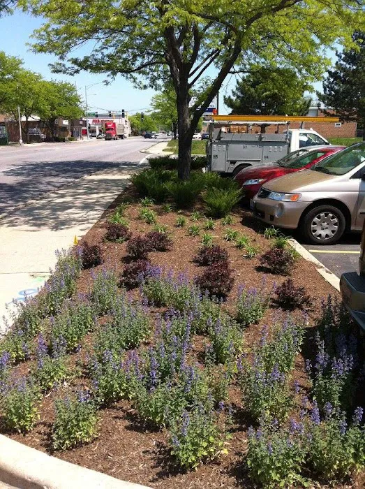 Choice Cut Landscaping Picture 8