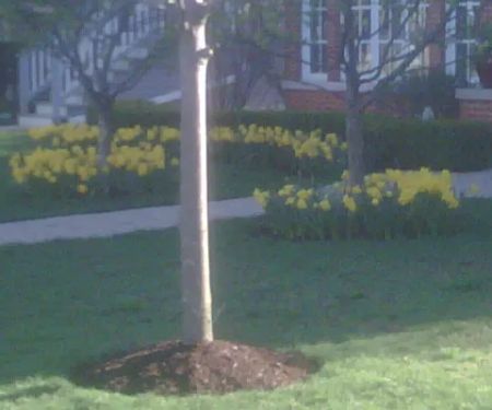 Fleck's Landscaping