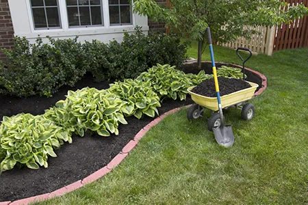 Ruiz Snow Removal & Landscaping Picture 1
