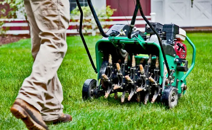 Ruiz Snow Removal & Landscaping Picture 3