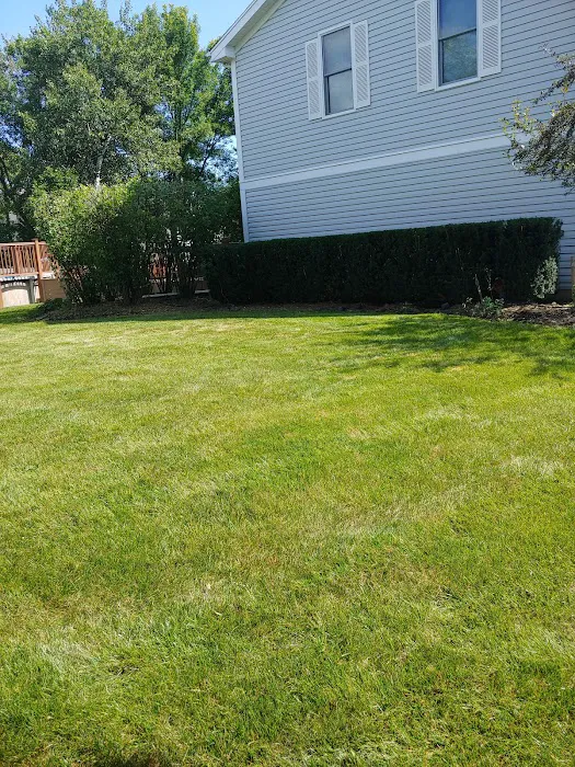 Ruiz Snow Removal & Landscaping Picture 7