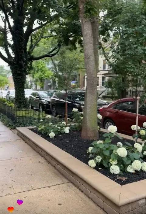 Hernandez Lawn care LLC Picture 5