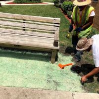 South Suburban Maintenance Inc. ico