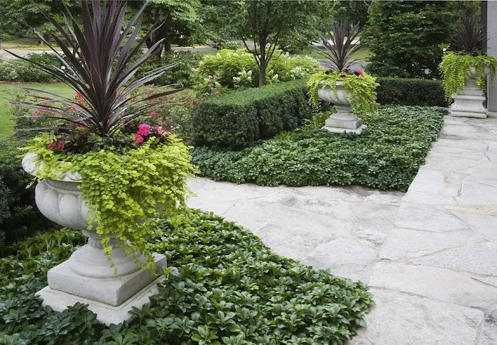Bruss Landscaping Picture 6