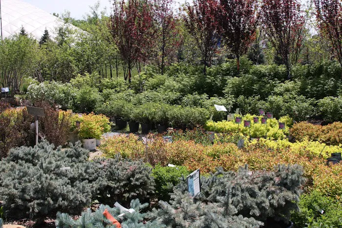 Home Landscape Materials Inc Picture 2