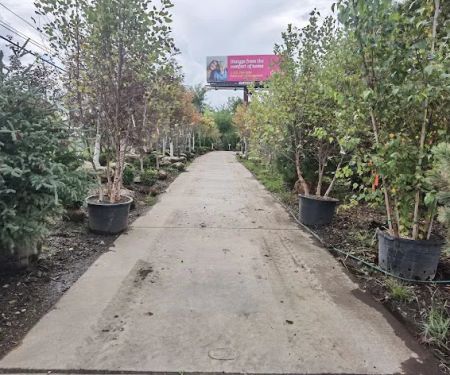 Home Landscape Materials Inc