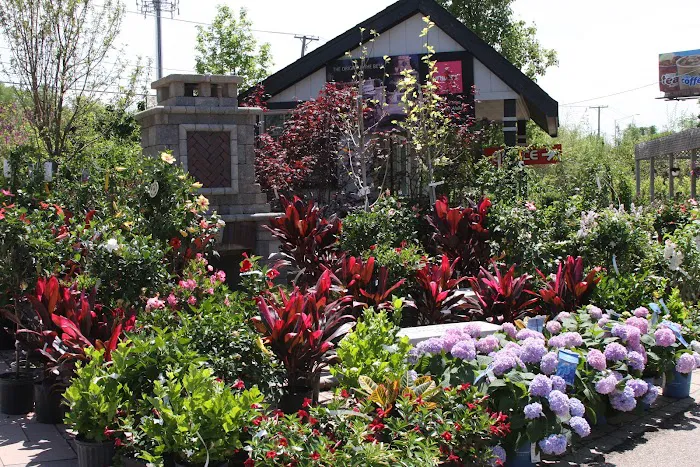Home Landscape Materials Inc Picture 5