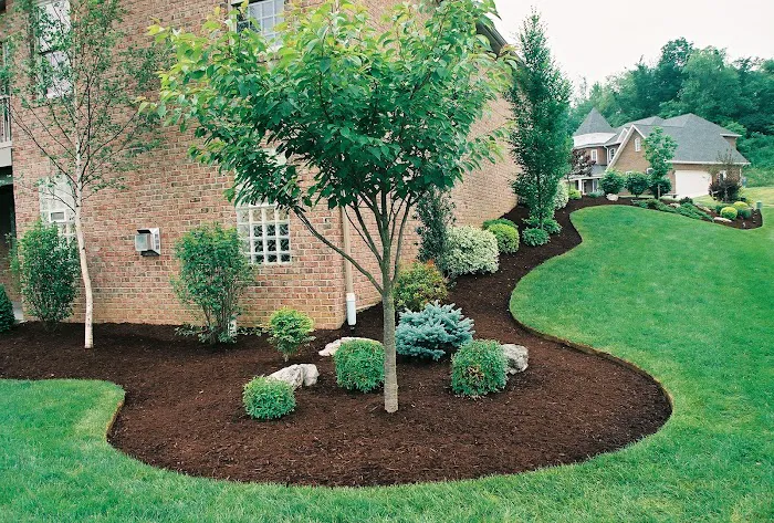 LWS Landscape and snow removal Picture 2