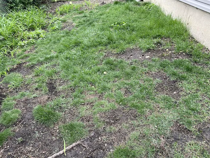 Weiss Lawn Care Picture 10