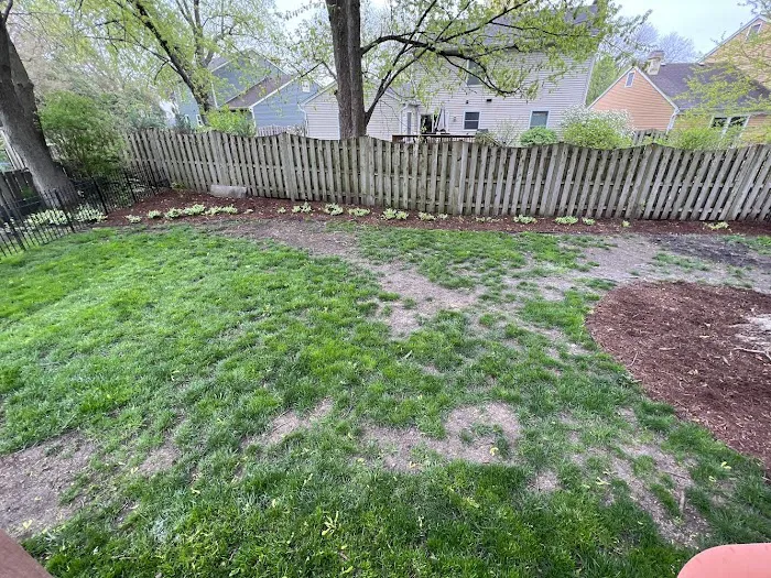 Weiss Lawn Care Picture 4