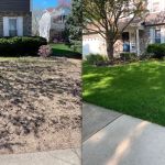 Weiss Lawn Care