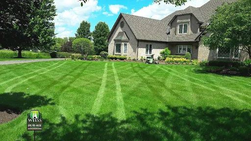 Weiss Lawn Care Picture 3