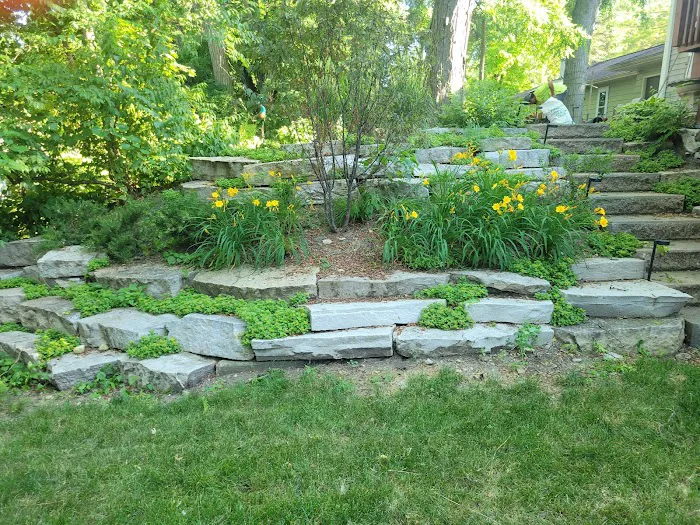 Orlandos Landscaping Picture 6