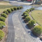 Orlandos Landscaping