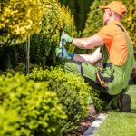 FV Landscaping