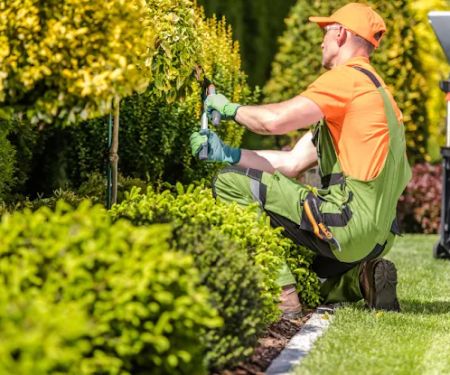FV Landscaping