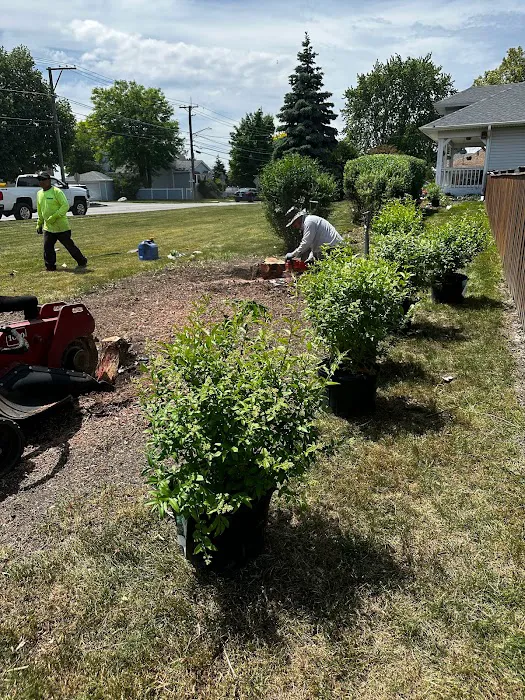 Sanchez Landscaping Picture 5