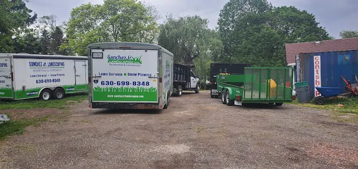 Sanchez Landscaping Picture 7