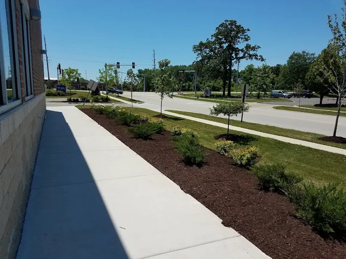 Sanchez Landscaping Picture 1