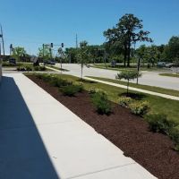 Sanchez Landscaping ico