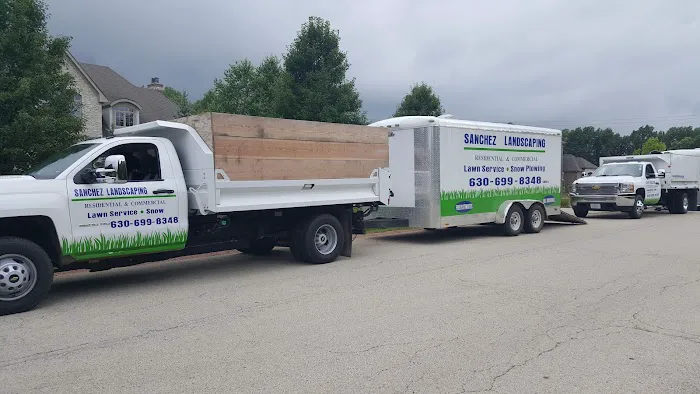 Sanchez Landscaping Picture 8