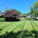Nick's Lawncare & Landscaping Inc.