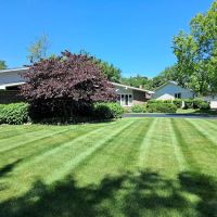Nick's Lawncare & Landscaping Inc. ico