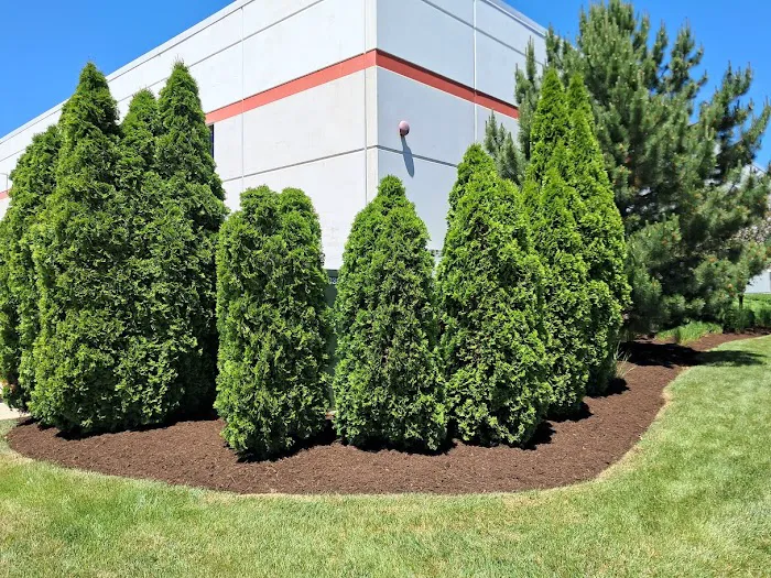 Nick's Lawncare & Landscaping Inc. Picture 5