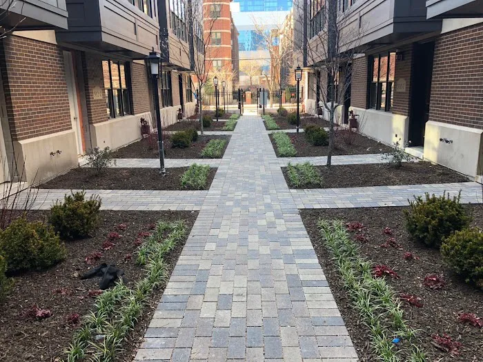 Beary Landscaping Picture 6