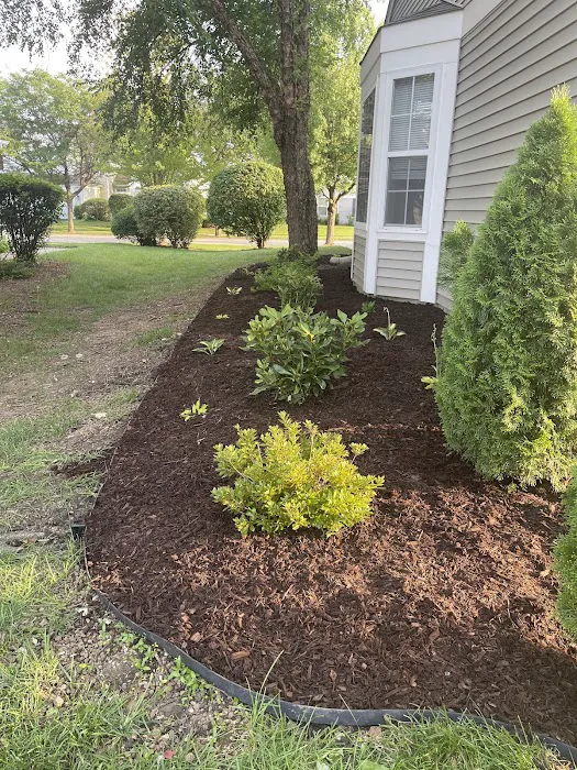 Salcedo's Landscaping Inc Picture 1