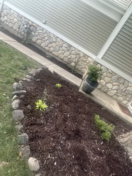 Salcedo's Landscaping Inc Picture 2