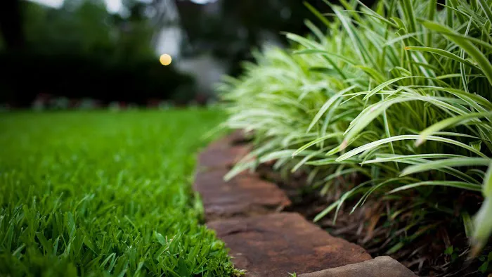 Bernat Landscaping Picture 3