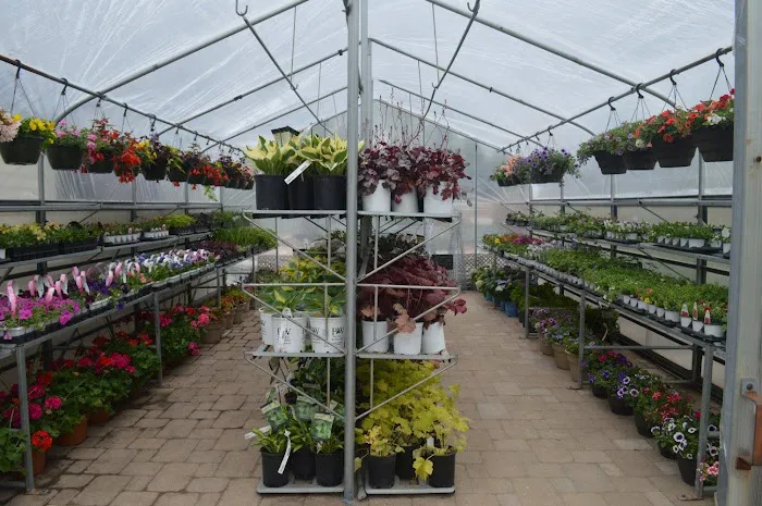 Sun and Shade Garden Center, Inc Picture 10