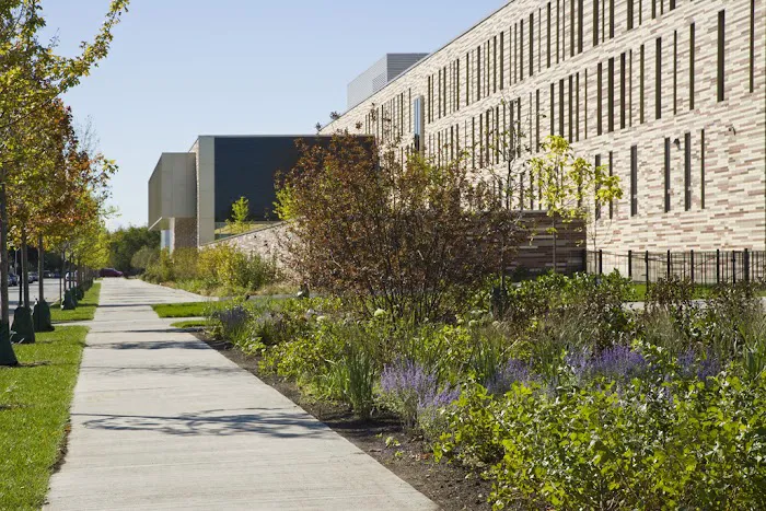 Atrium Commercial Landscaping Picture 3