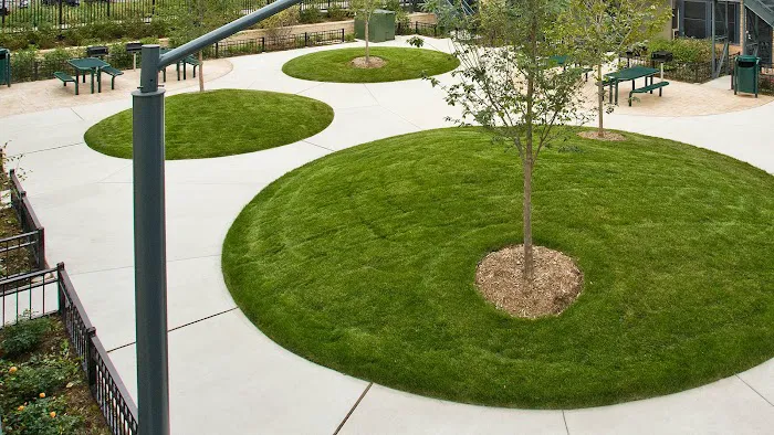 Atrium Commercial Landscaping Picture 9