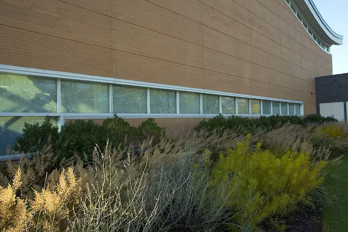 Atrium Commercial Landscaping Picture 1