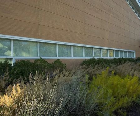Atrium Commercial Landscaping