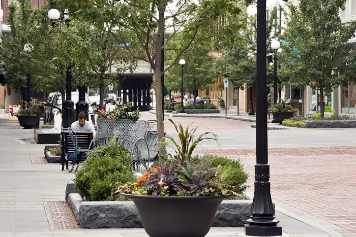Atrium Commercial Landscaping Picture 6