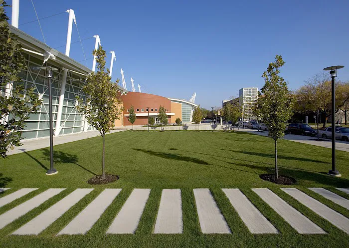 Atrium Commercial Landscaping Picture 8