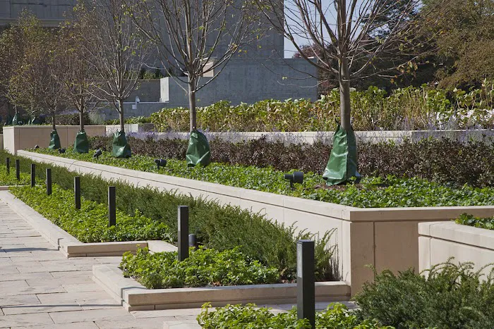Atrium Commercial Landscaping Picture 5