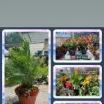 Jim Melka Landscaping & Garden Center
