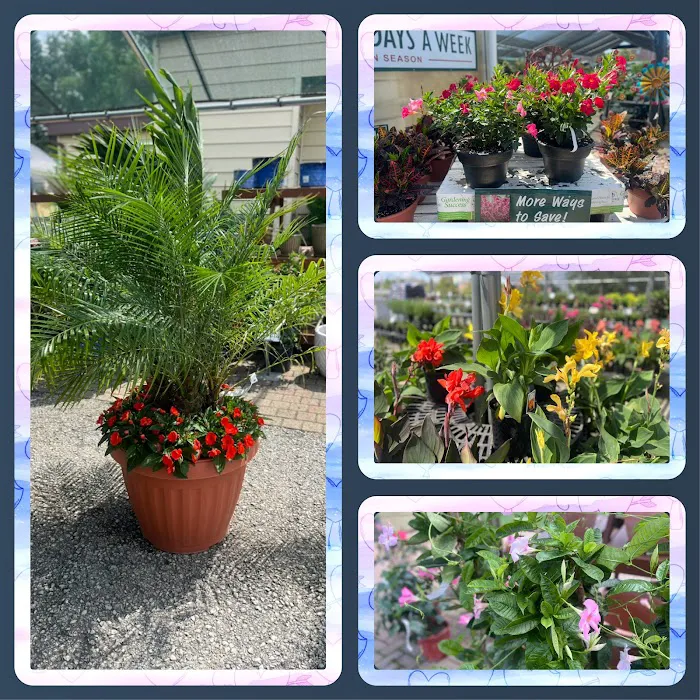 Jim Melka Landscaping & Garden Center Picture 2